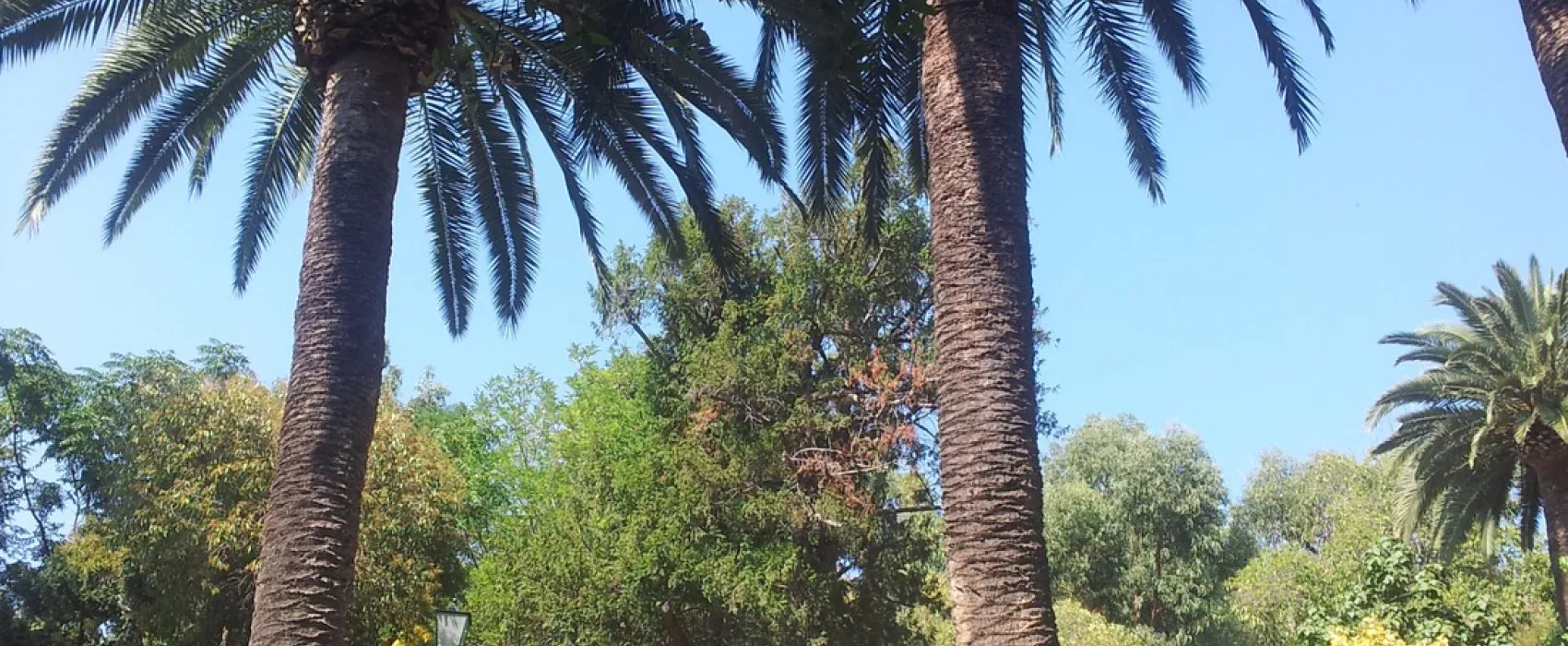 Campeggio Eucalyptus