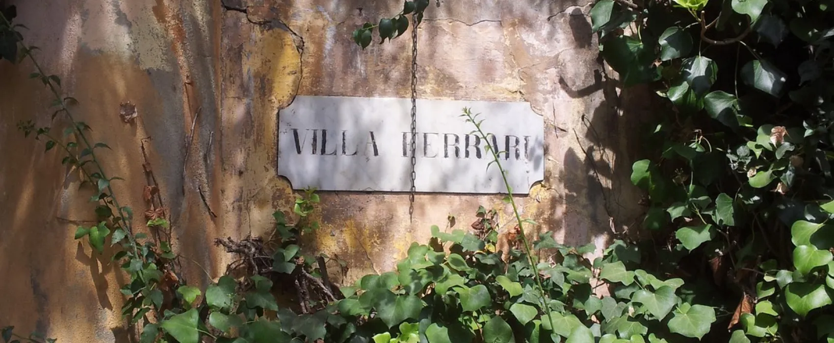 Campeggio Eucalyptus