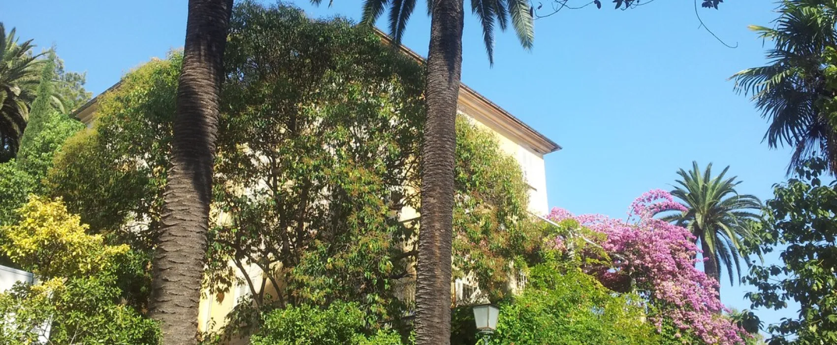 Campeggio Eucalyptus