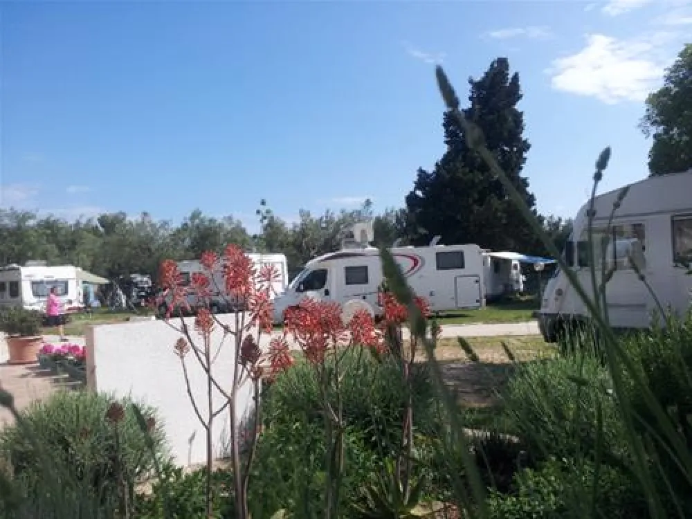 Camping Viter
