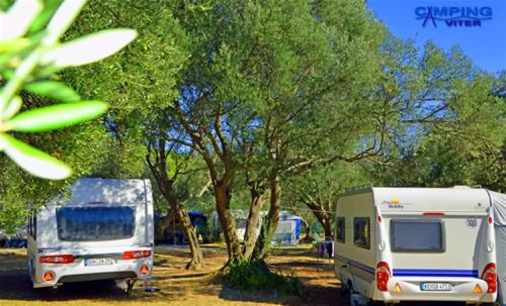 Camping Viter