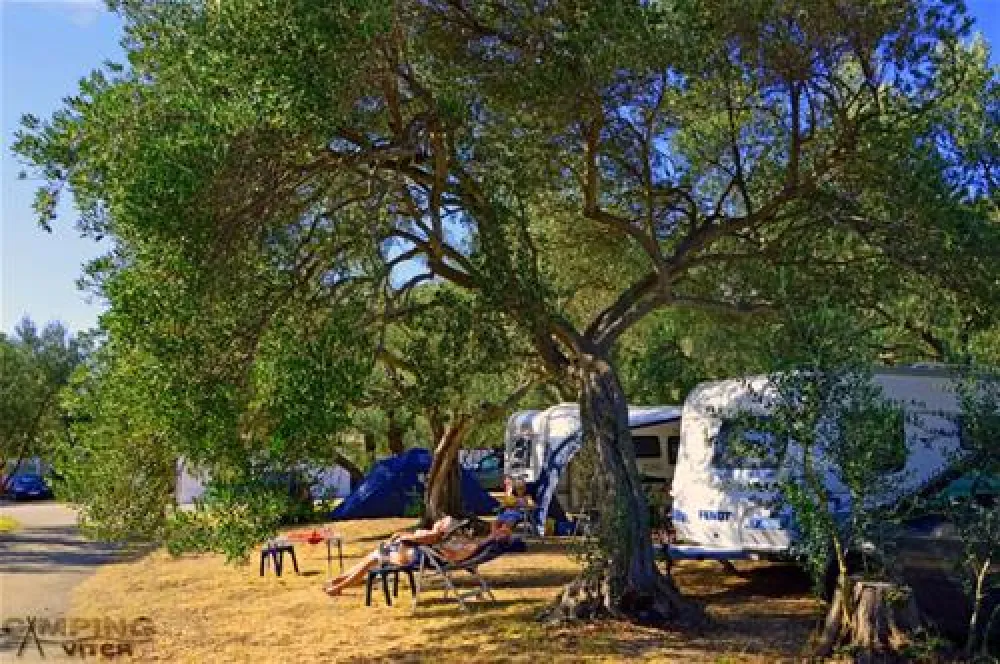 Camping Viter