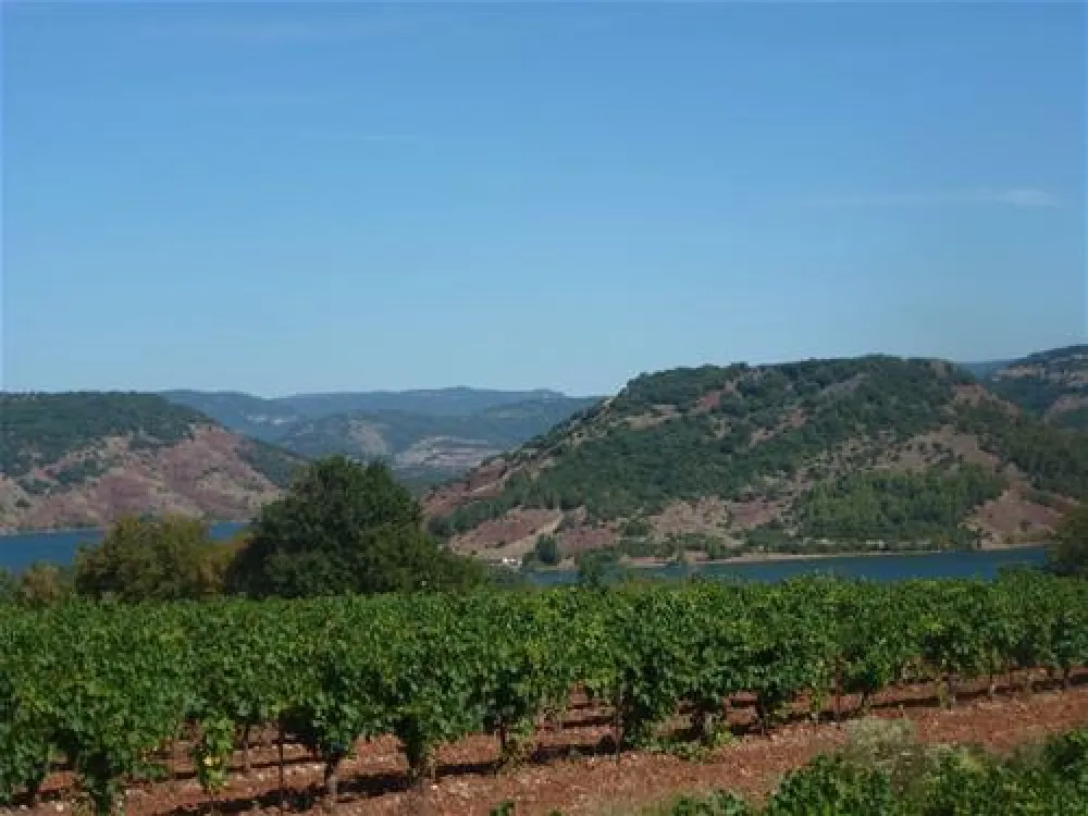 Camping Municipal Du Lac Du Salagou  