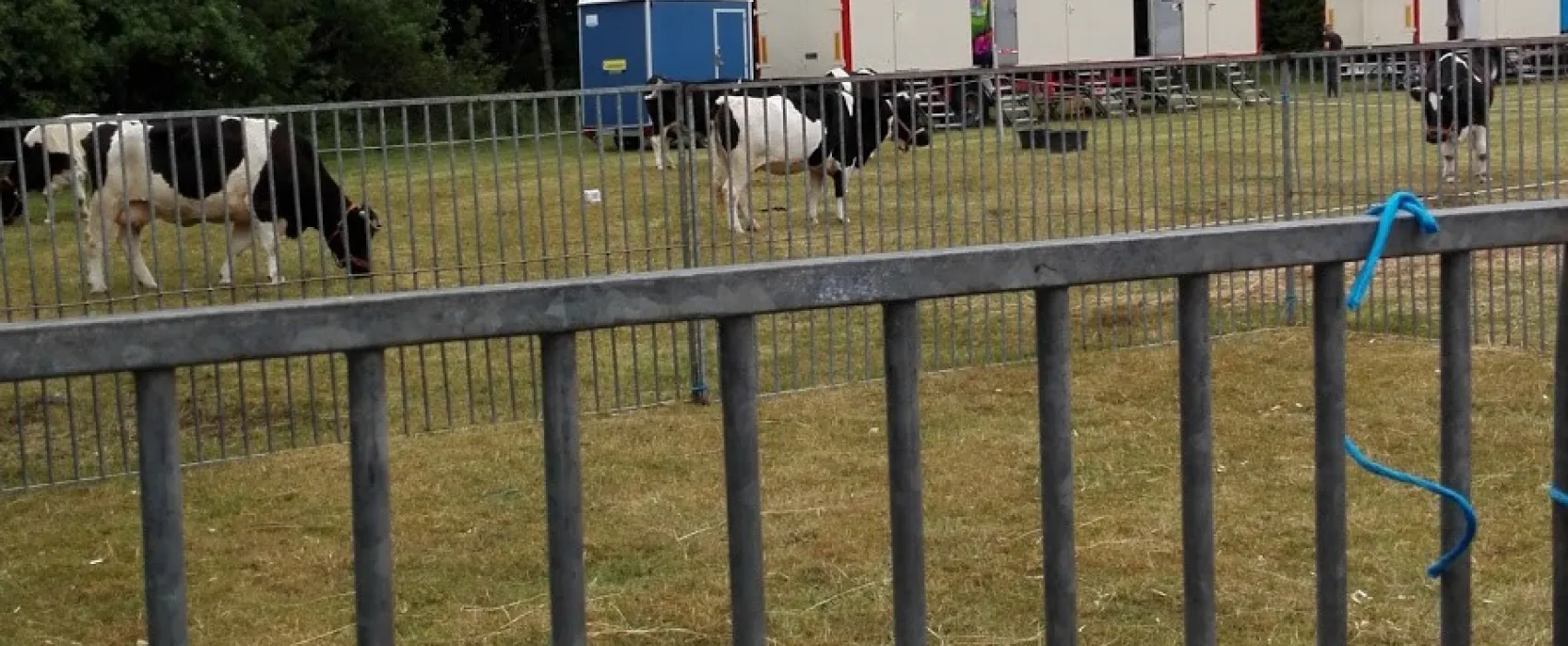 Grindsted Aktiv Camping