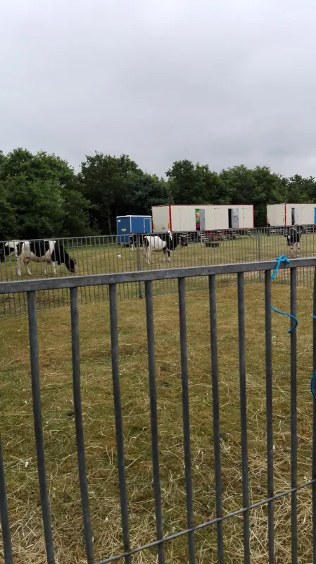 Grindsted Aktiv Camping