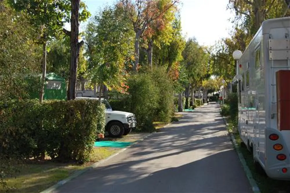 Camping Torre la Sal I