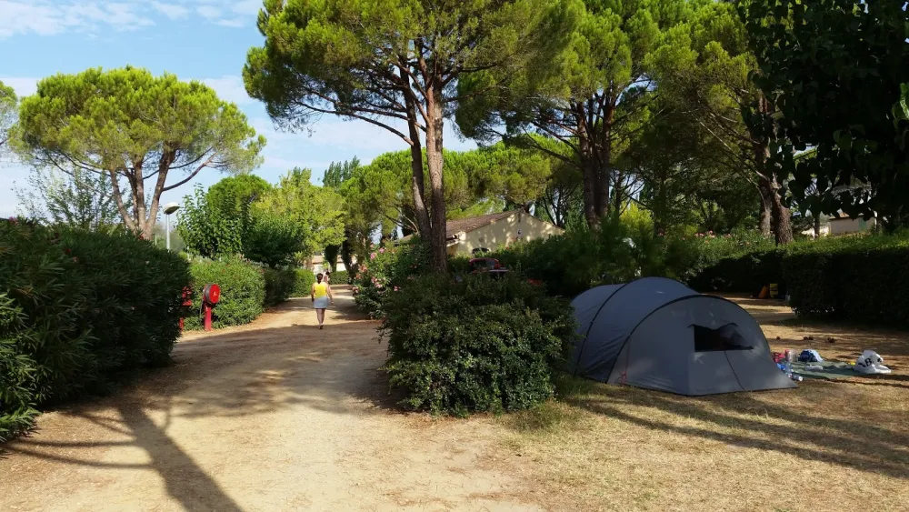 Camping Municipal - Capestang