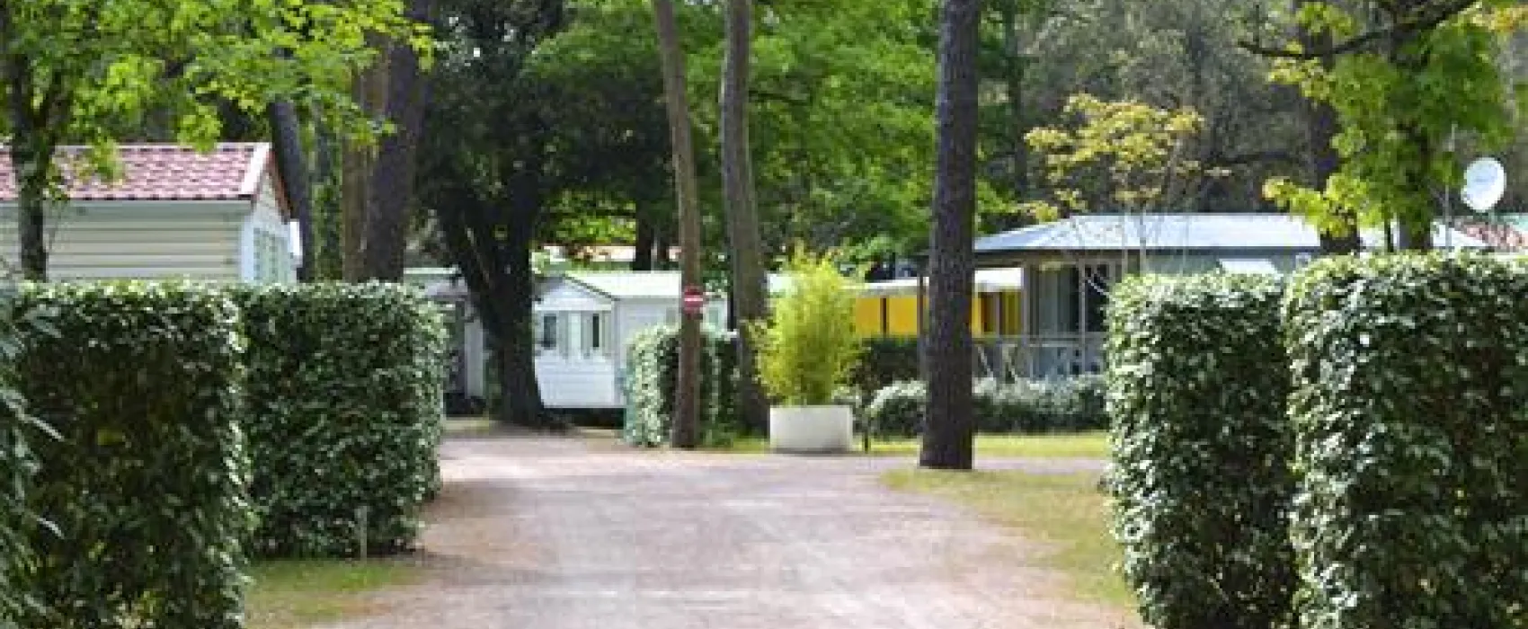 Le Clos des Pins Camping  