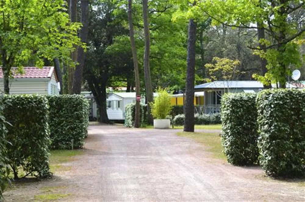 Le Clos des Pins Camping  