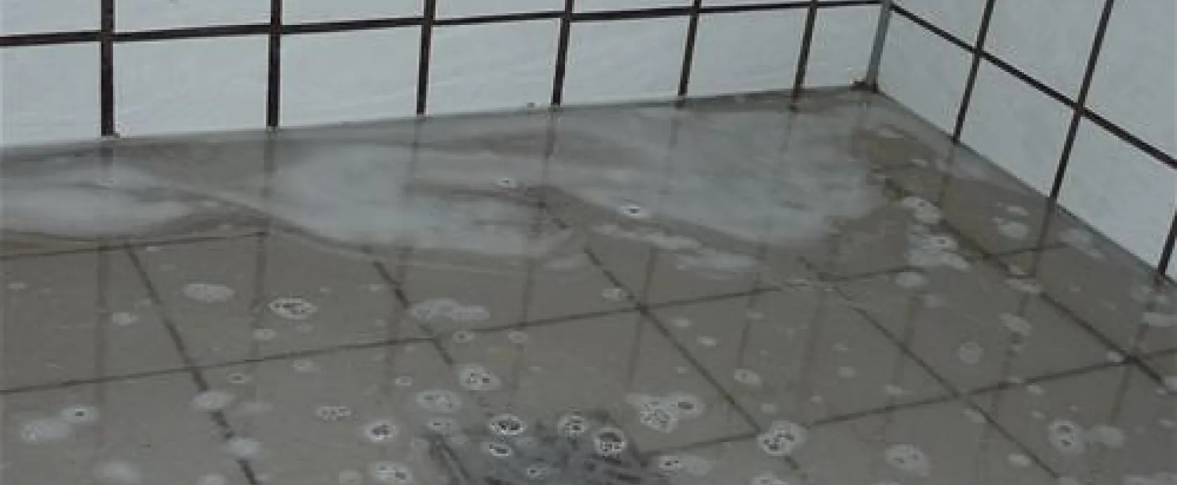 Ostsee-Freizeitpark Booknis