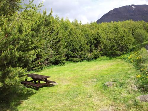 Holar campsite photo 3