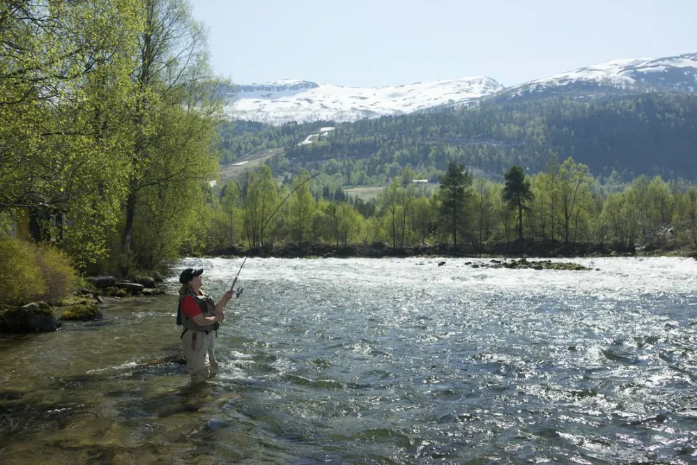 Pluscamp JølstraholmenCamping og Hytter