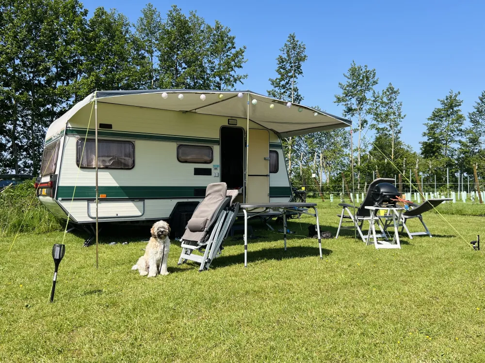 Camping De Toffe Peer