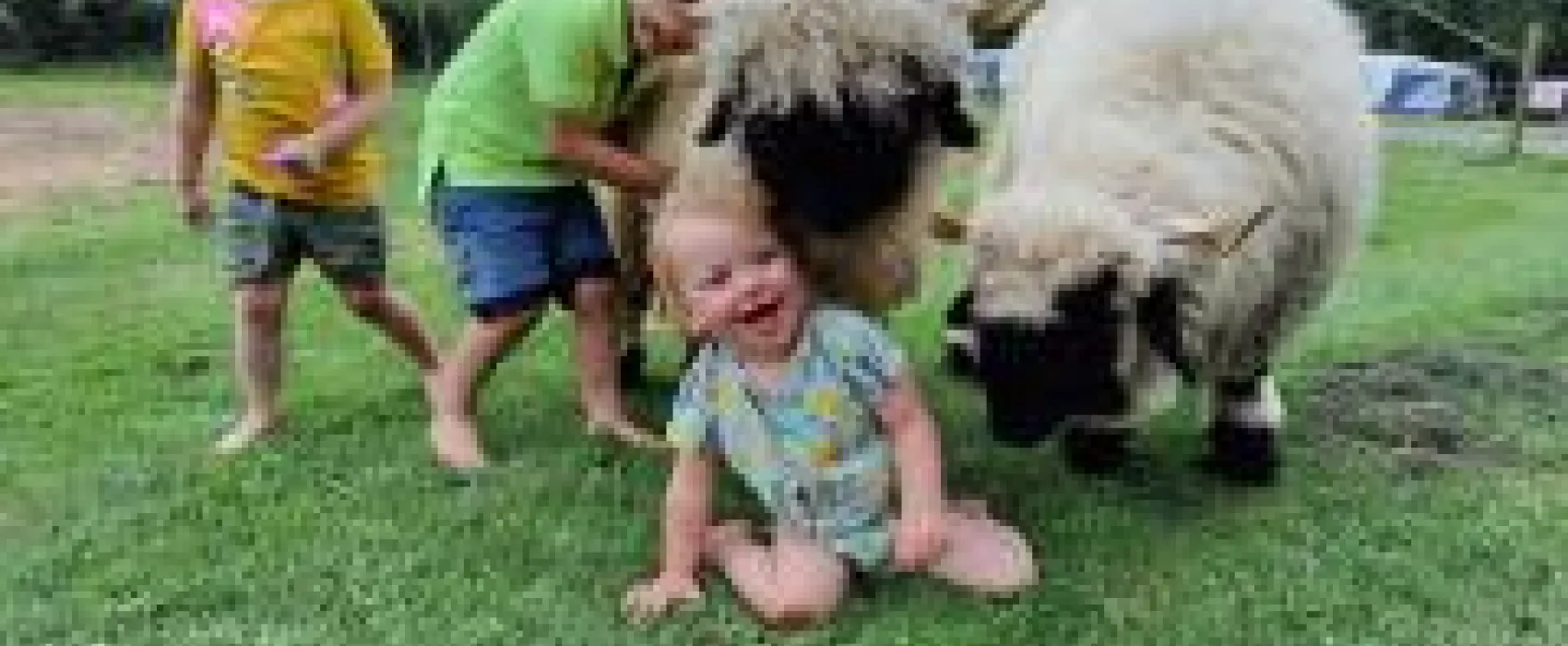 Camping De Toffe Peer