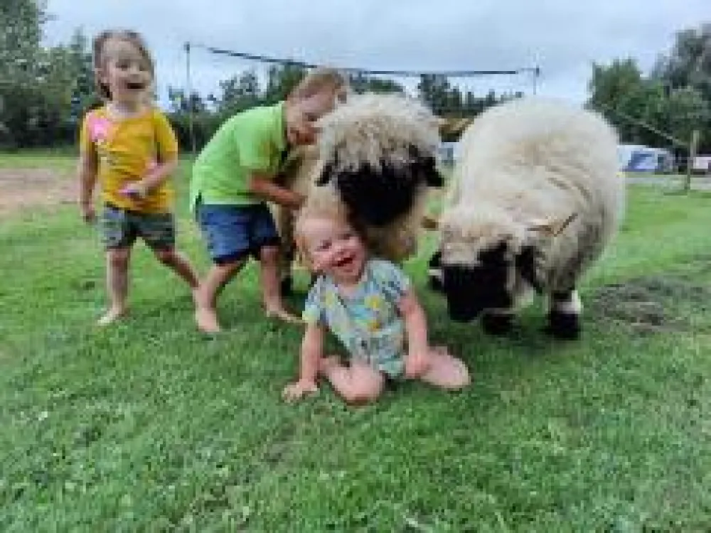 Camping De Toffe Peer