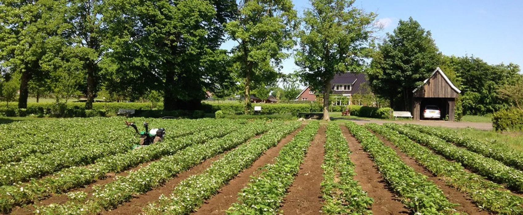 Camping Groot Antink