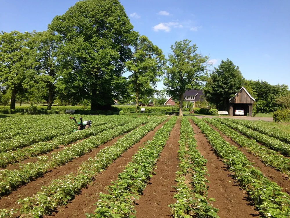 Camping Groot Antink