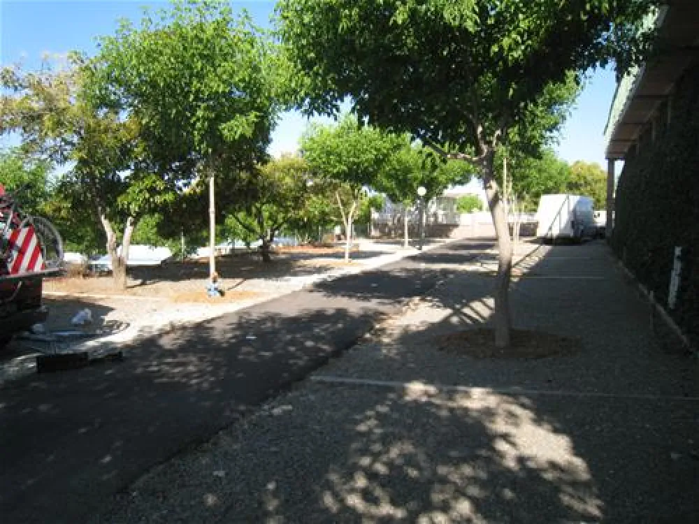 Camping el Pino