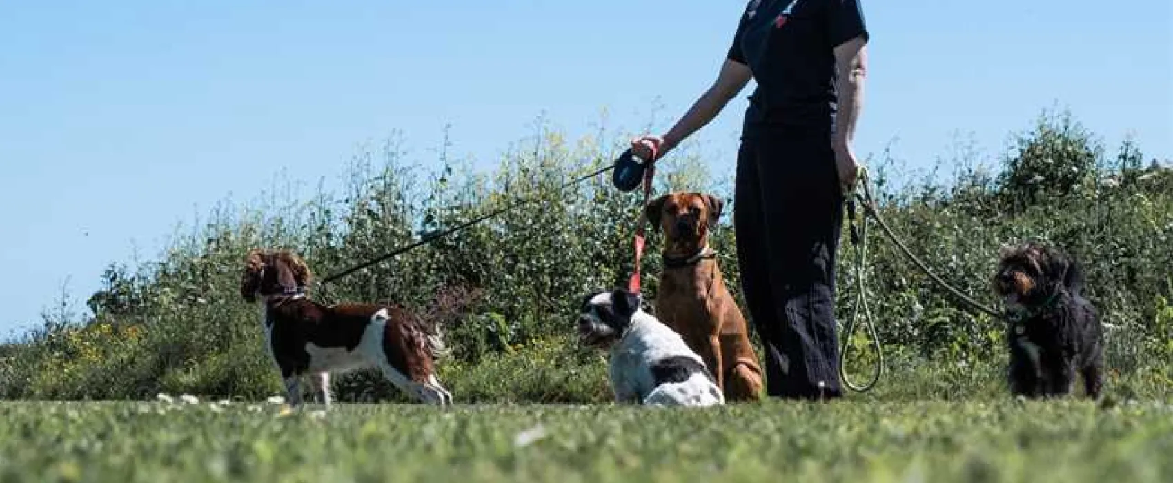 The View at Watergate Bay