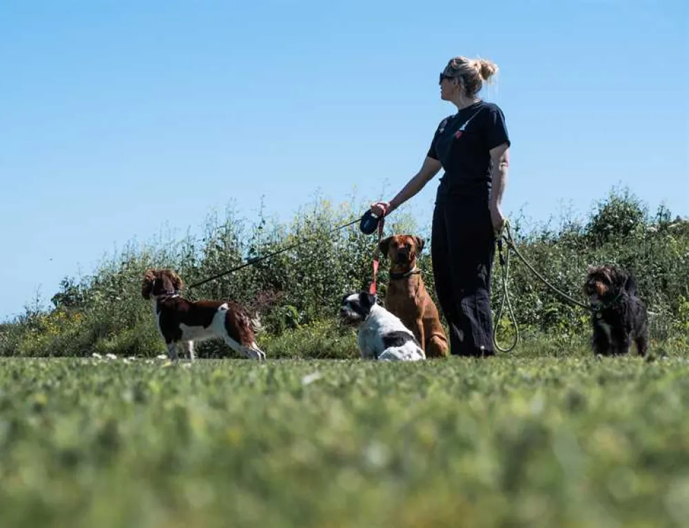 The View at Watergate Bay