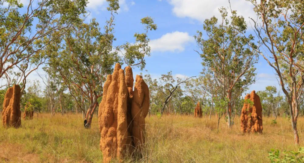 BIG4 Hayes Creek Holiday Park