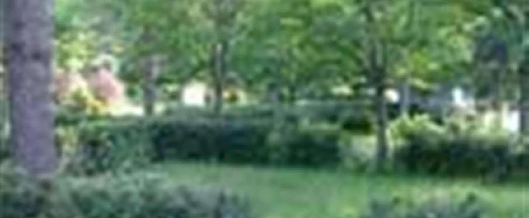 Camping Municipal Les Terrasses Du Jaur