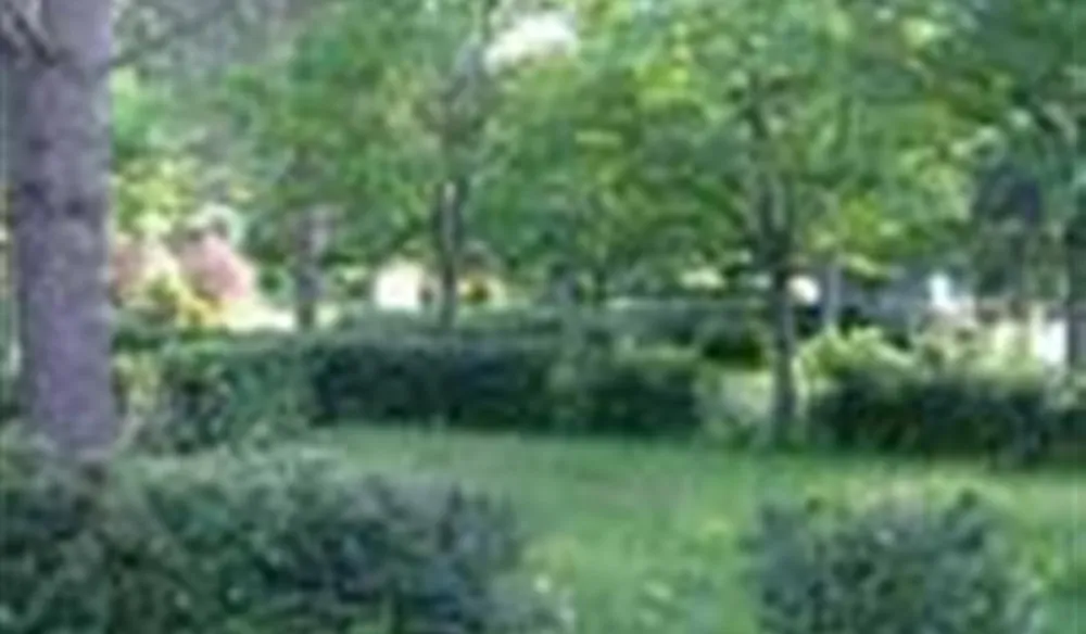 Camping Municipal Les Terrasses Du Jaur