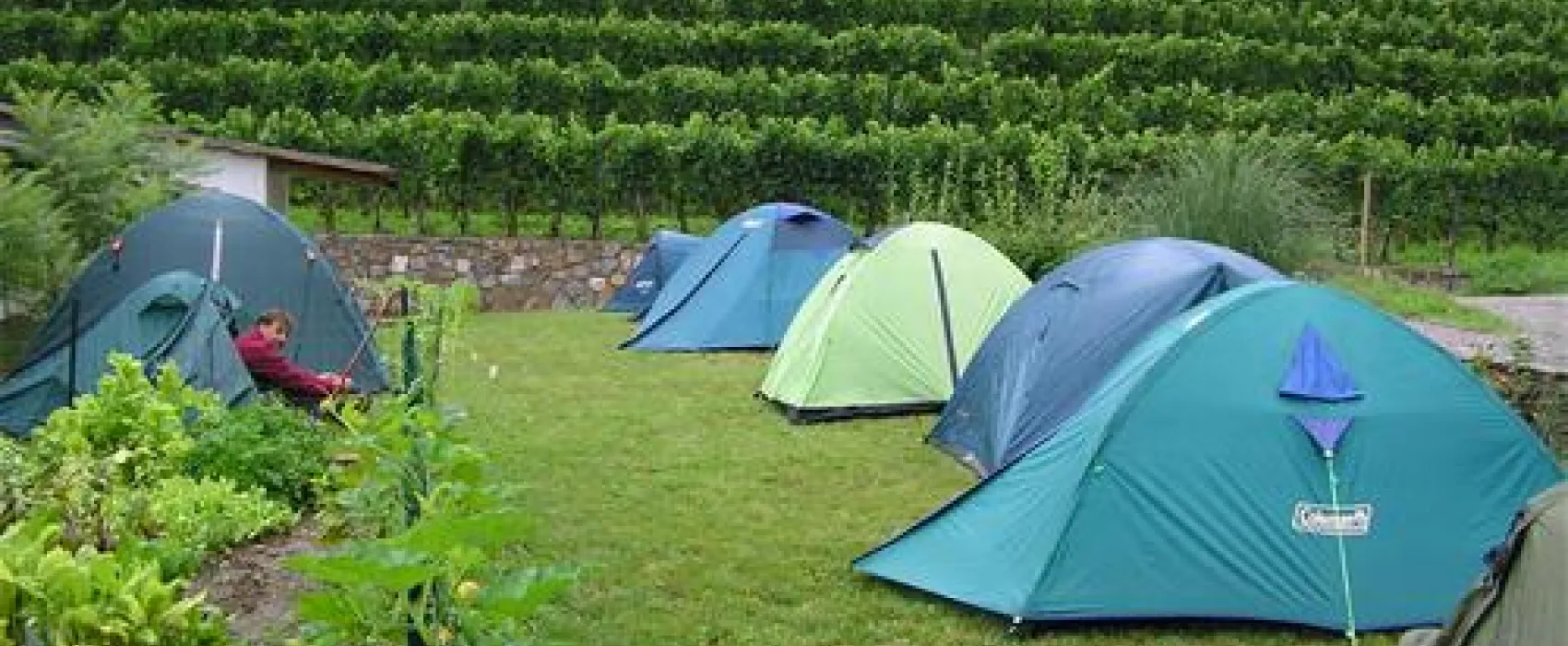 Camping Saksida