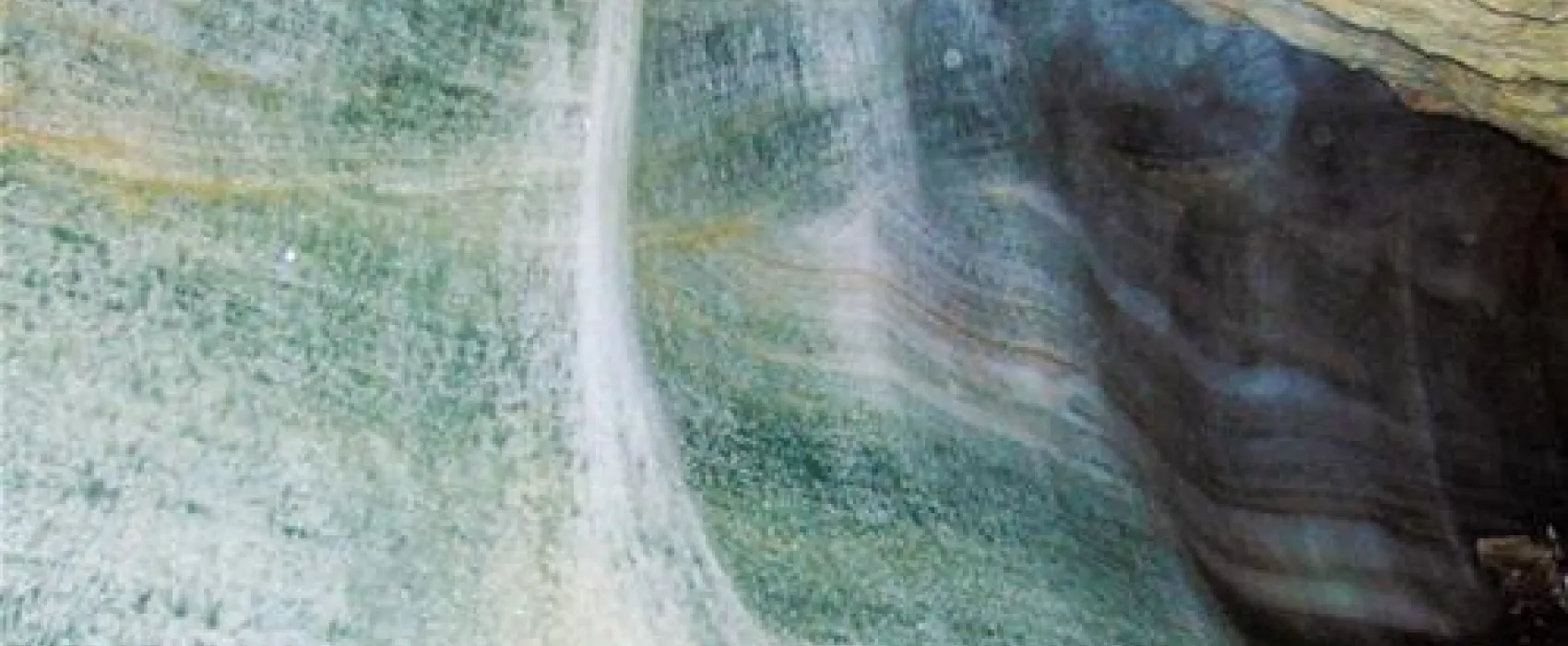 Camping Winkl-Landthal