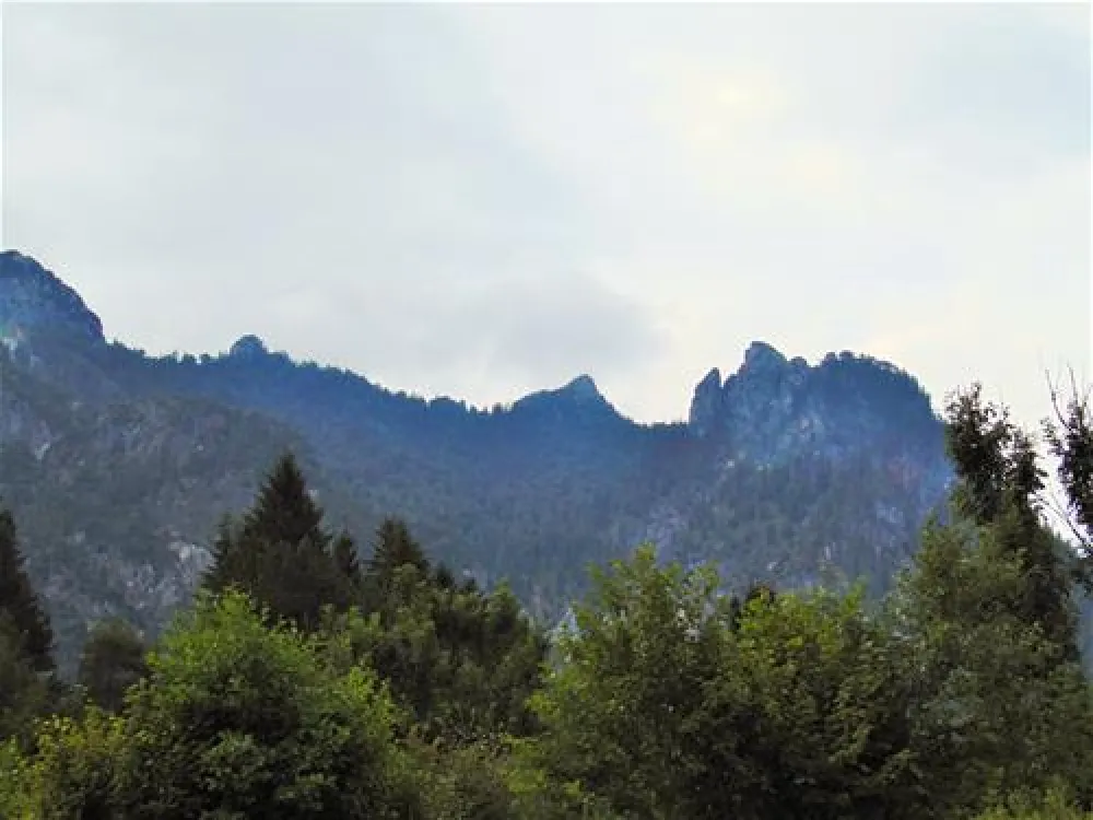 Camping Winkl-Landthal