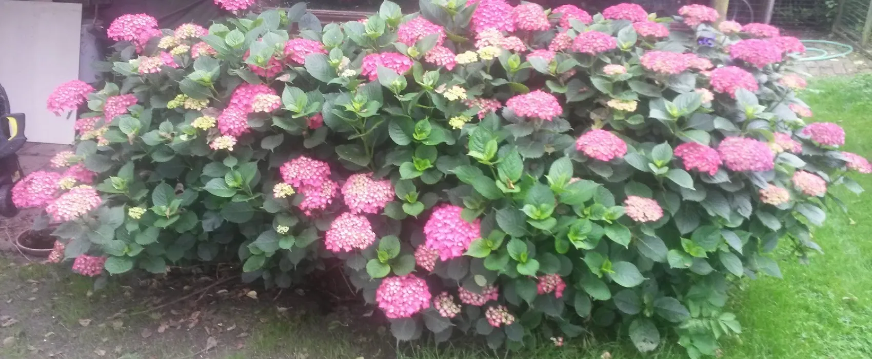 Camping het Moasland