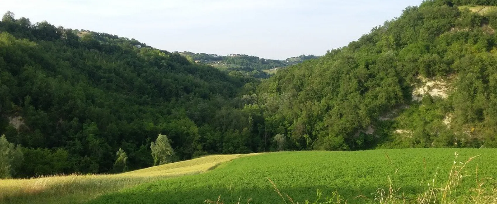 Agricamp Picobello - Camping - B & B