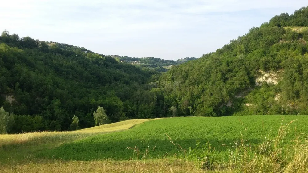 Agricamp Picobello - Camping - B & B