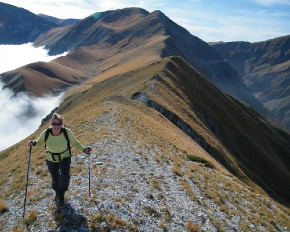 Agricamp Picobello - Camping - B & B