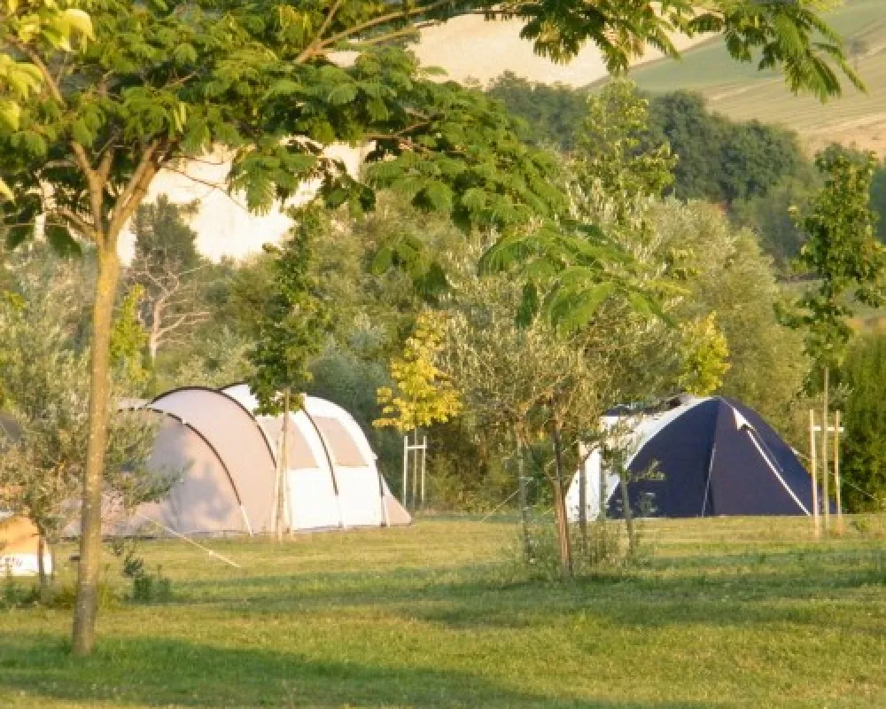 Agricamp Picobello - Camping - B & B