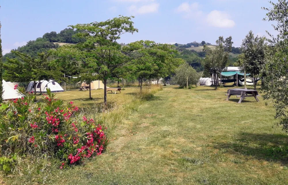 Agricamp Picobello - Camping - B & B