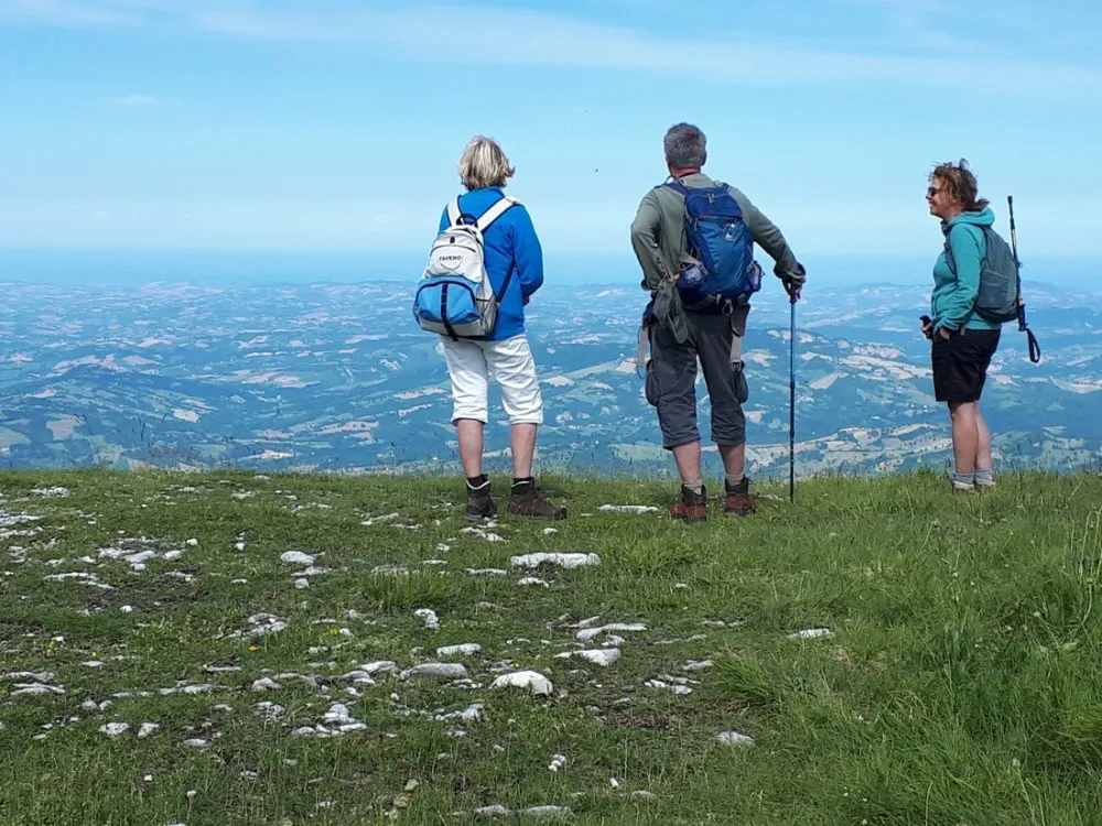 Agricamp Picobello - Camping - B & B