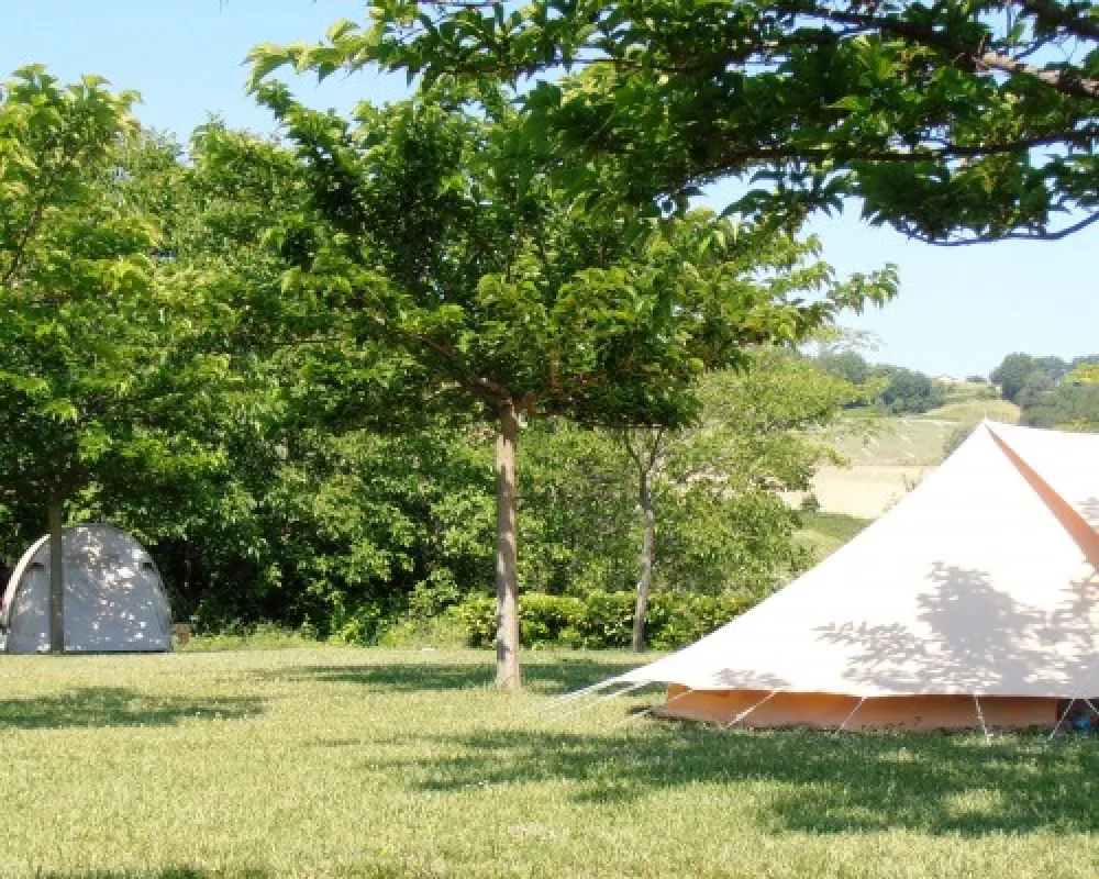 Agricamp Picobello - Camping - B & B