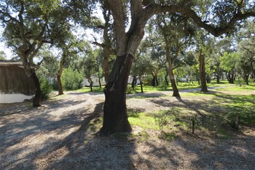 Flower camping - Le Romarin  