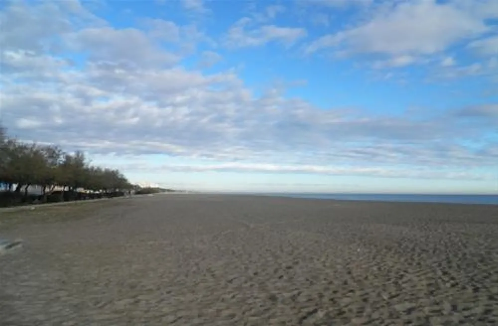 Flower camping - Le Romarin  