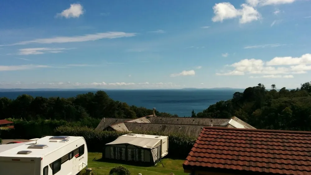 Swallow Tree Gardens