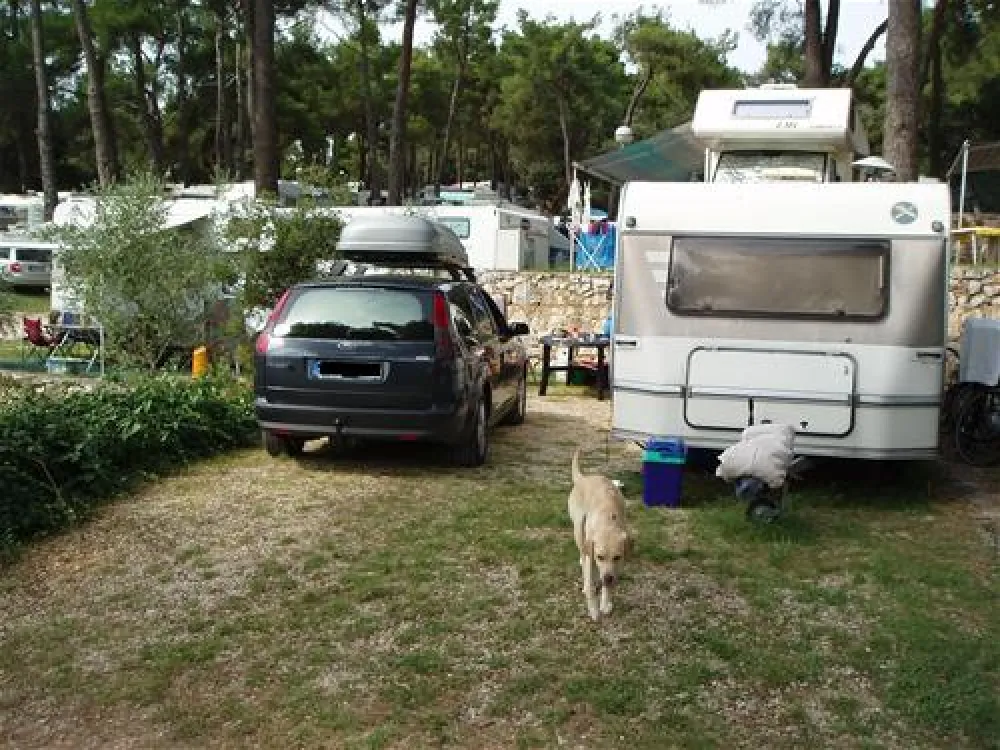 Camping Porton Biondi