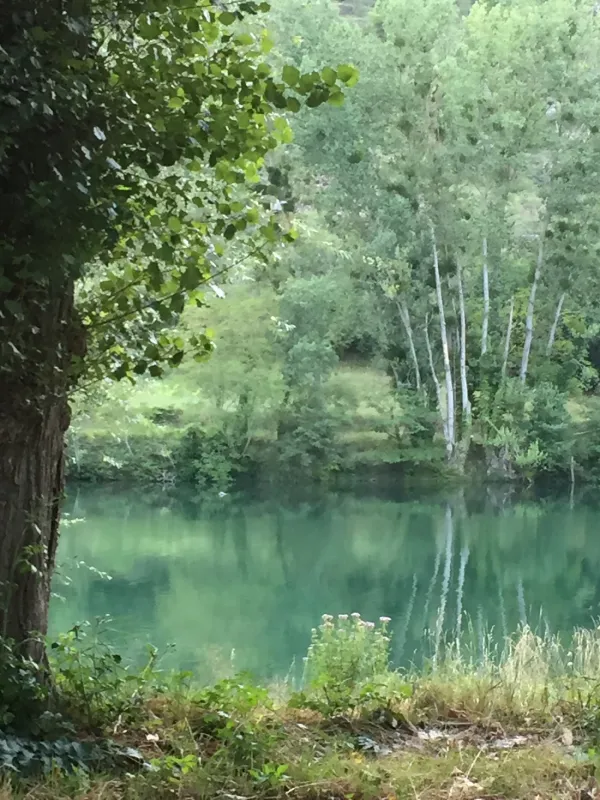 Camping de La Cascade  