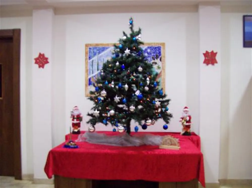 Campeggio Punta Alice