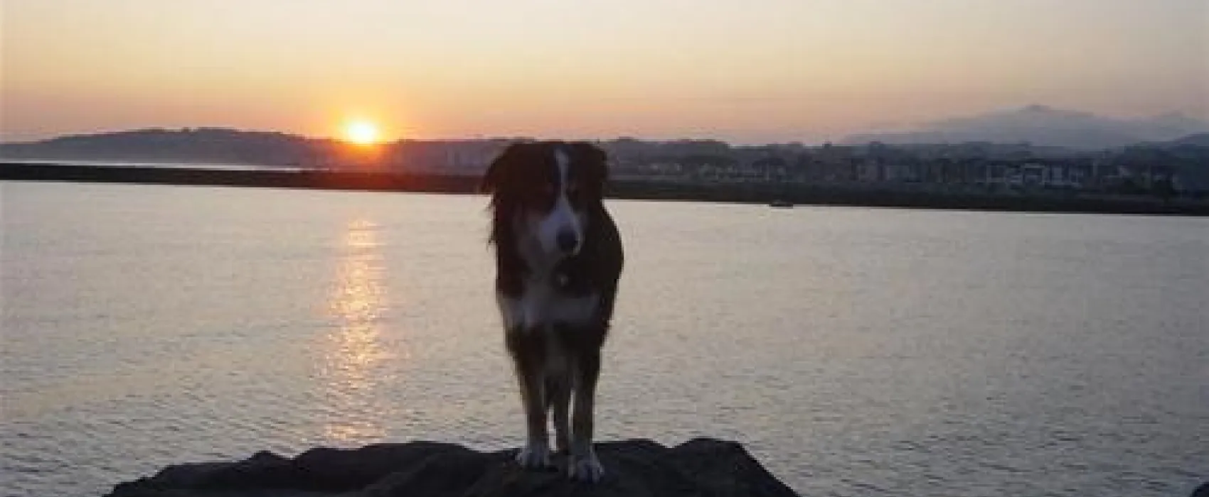 Camping Camping Jaizkibel