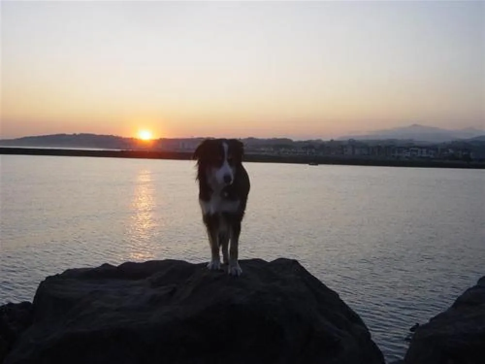 Camping Camping Jaizkibel