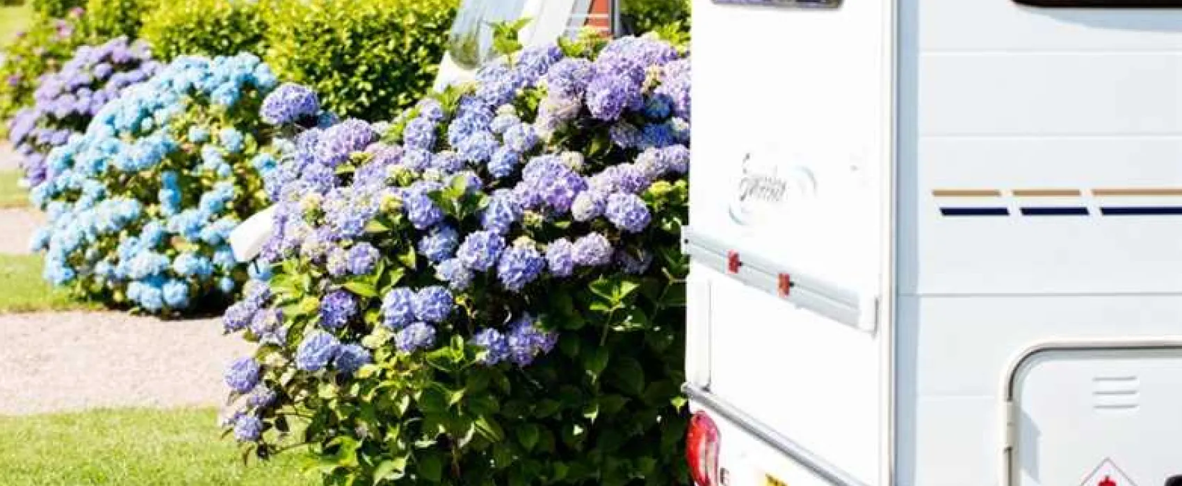 Wooda Farm Holiday Park