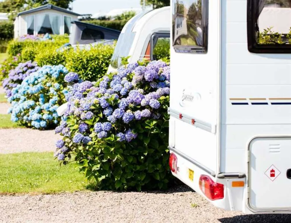 Wooda Farm Holiday Park