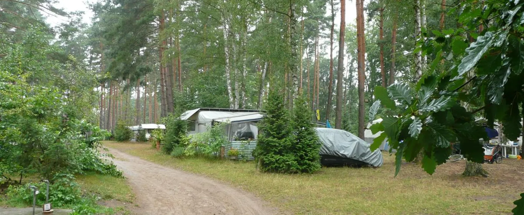 NaturCamping am Ellbogensee