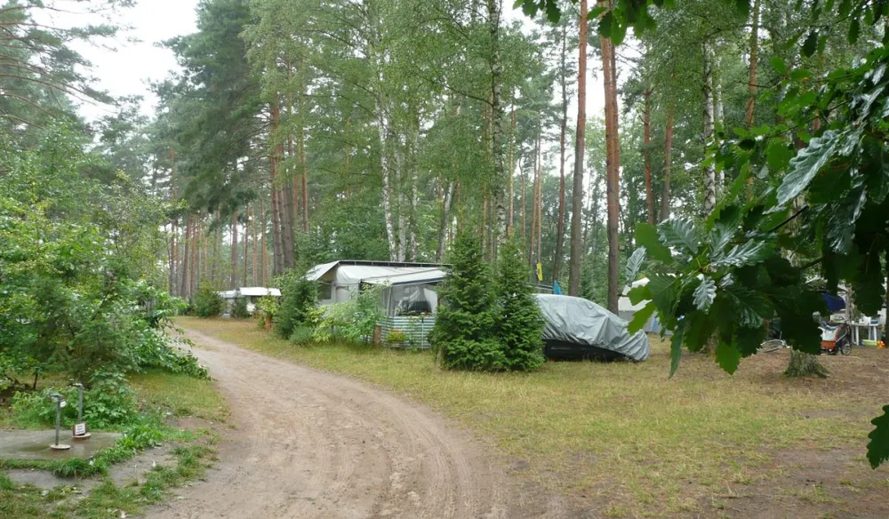 NaturCamping am Ellbogensee